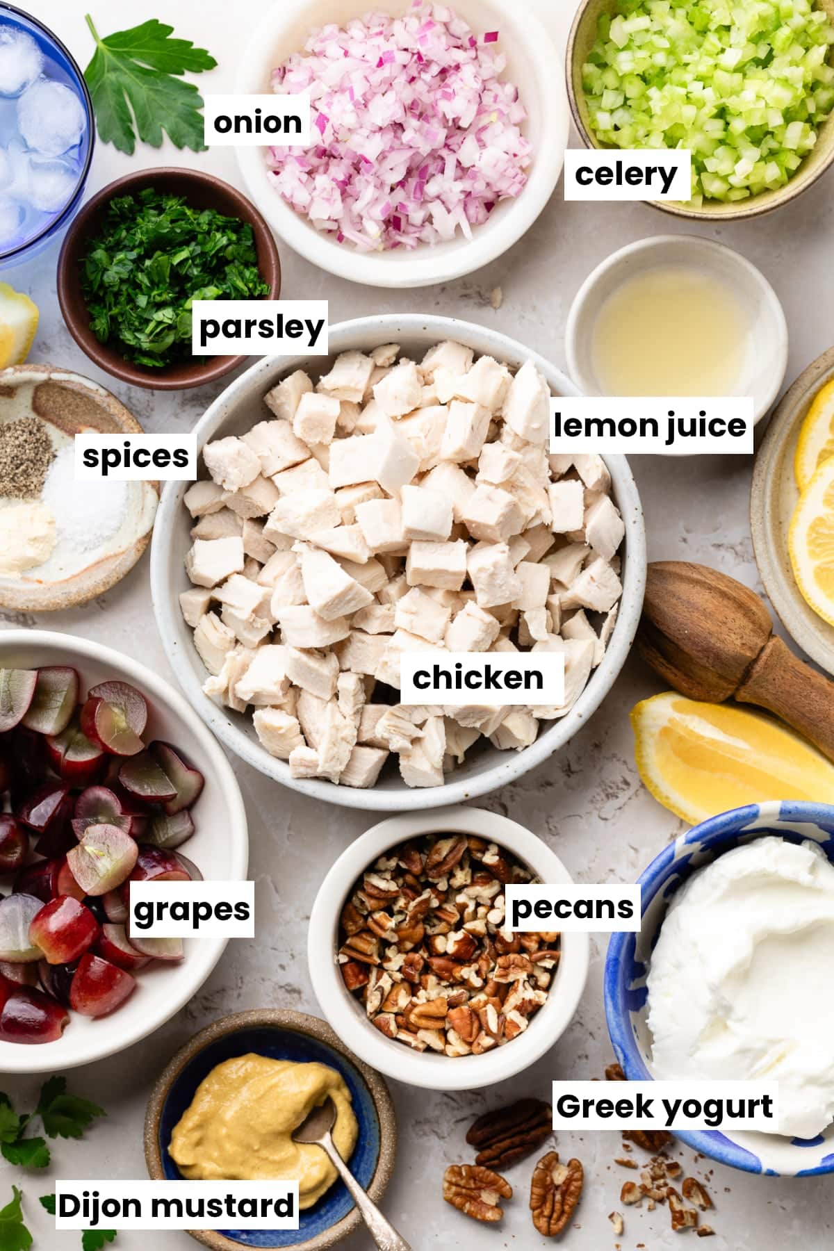 Ingredients in the recipe, including onion, celery, parsley, chicken, Greek yogurt, lemon juice, spices, grapes, pecans, and Dijon mustard.