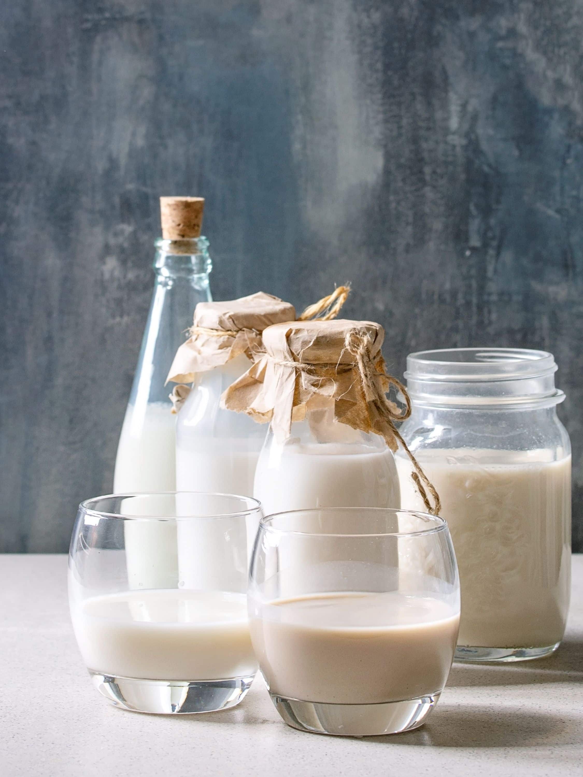 Different substitutes for coconut milk, including heavy cream, oat milk, almond milk, yogurt, cashew milk cashew cream, and coconut cream.