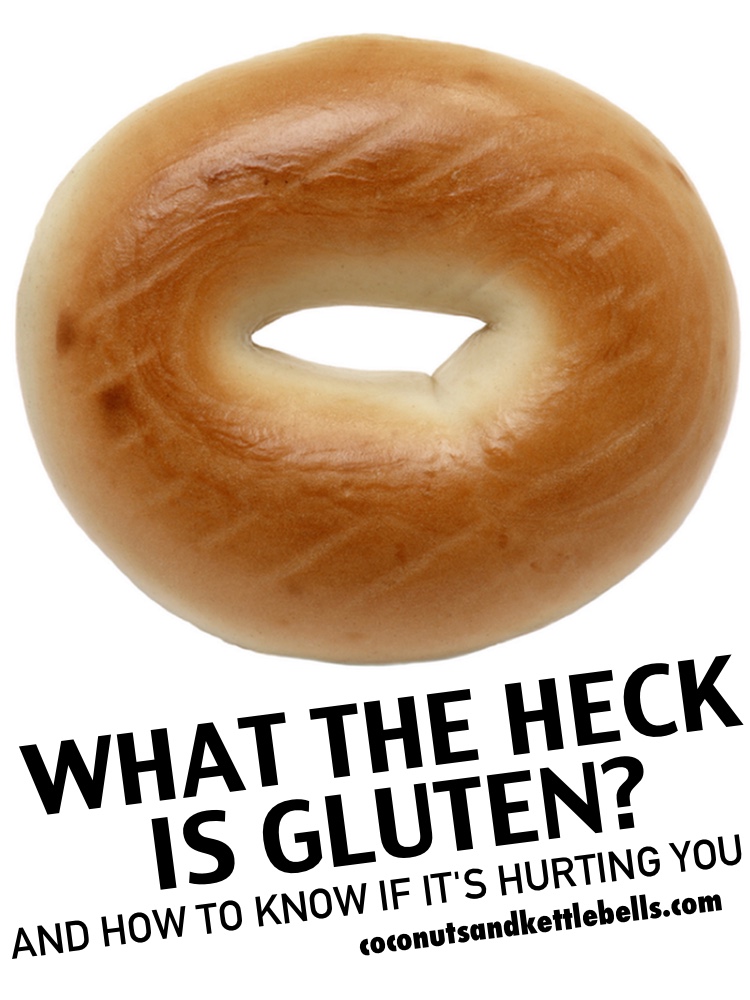What the Heck is Gluten (and how to know if it's hurting you!) - Coconuts and Kettlebells