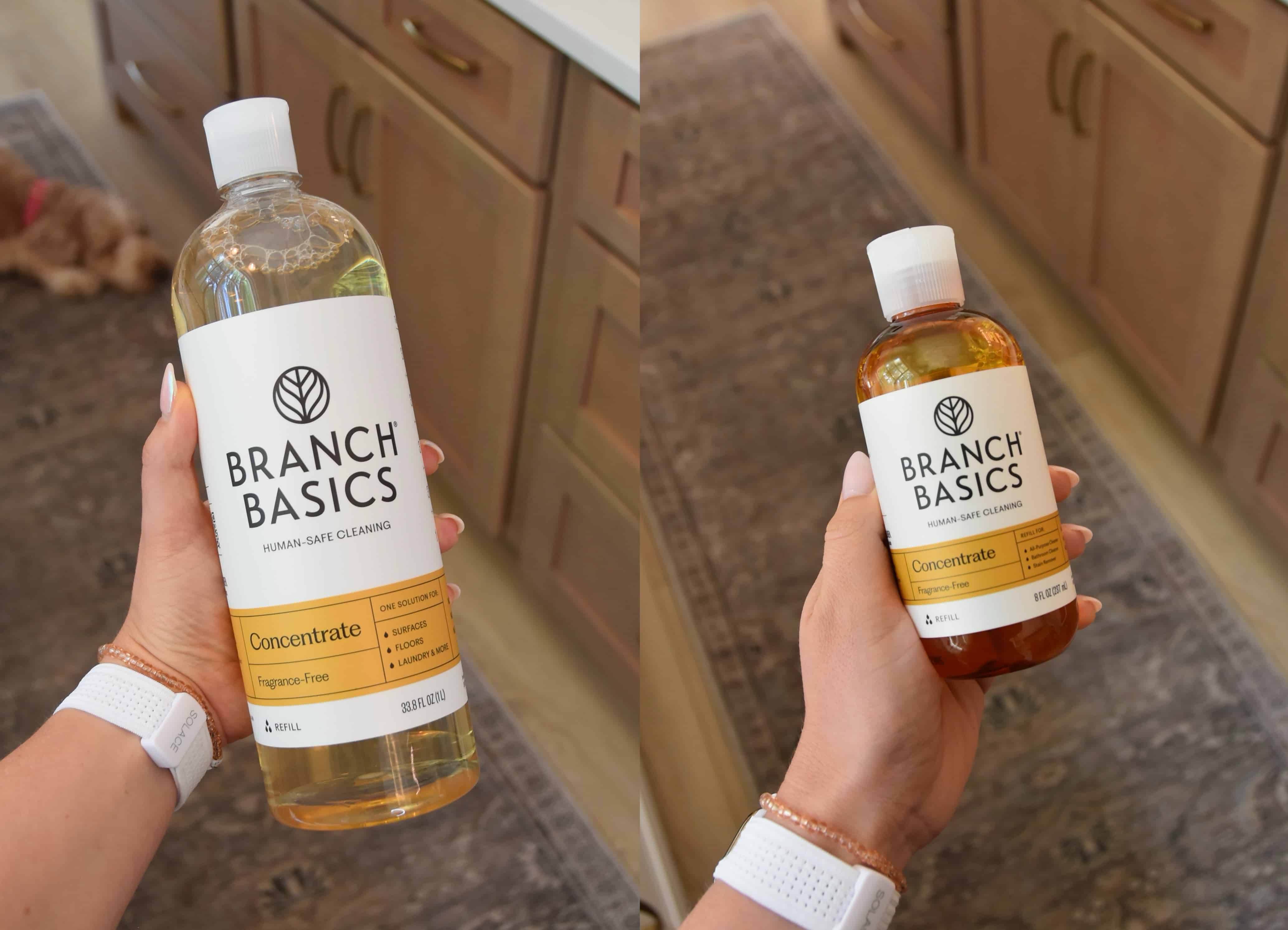 Showing a large bottle of Branch Basics The Concentrate vs the smaller bottle sold at Target.